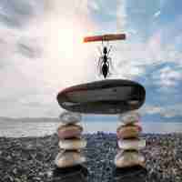 智‌能​聚​合‍页​是‌什​么‍意﻿思﻿呢﻿